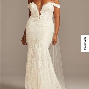 Off Shoulder Plunging Plus Size Lace Wedding Dress